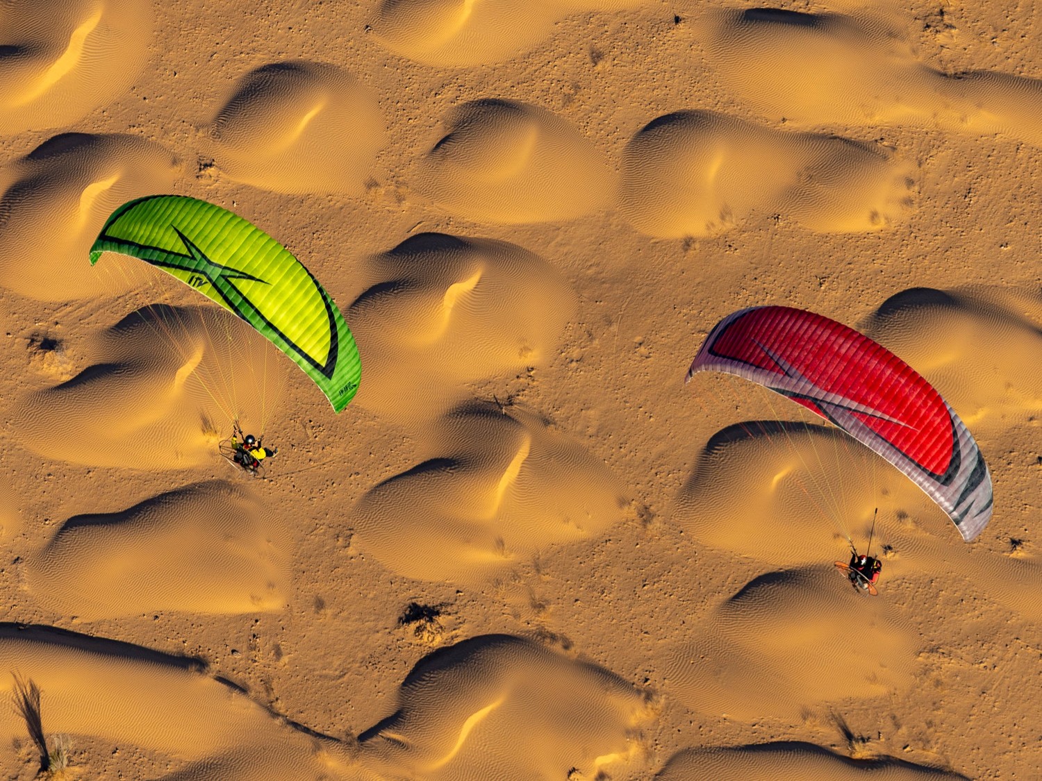Paramoteur Sahara DesertFlow