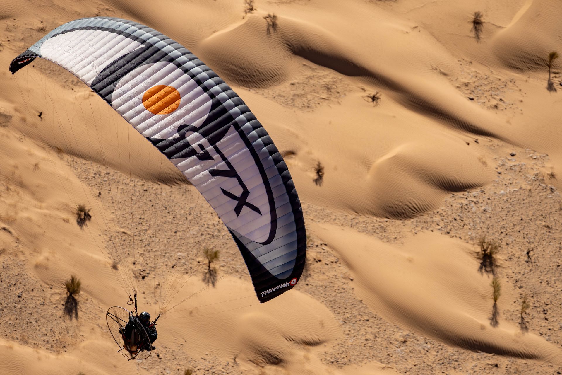Paramoteur Sahara DesertFlow